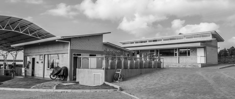 _DSC0221