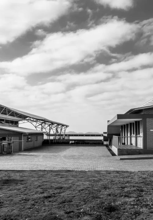 galeria angeles del campo proyecto