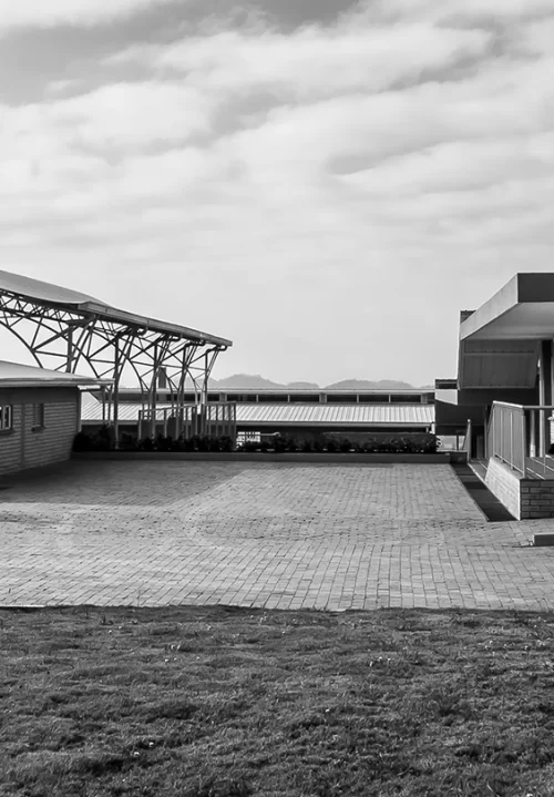 proyecto-angeles-del-campo-Rock Developers_1