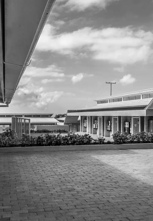 proyecto-angeles-del-campo-Rock Developers_2