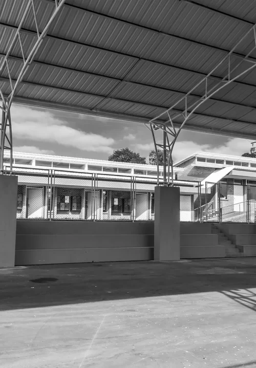 proyecto-angeles-del-campo-Rock Developers_4